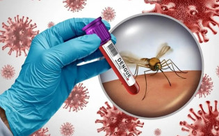 ৮ বছরের ট্রায়াল শেষে এলো ডেঙ্গু রোধের এক ডোজ টিকা