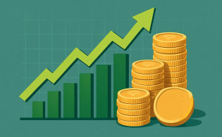 উত্থানের নেপথ্যে ৫ কোম্পানি