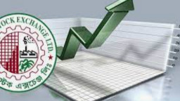 উত্থানের মূল ভূমিকায় ৫ কোম্পানি