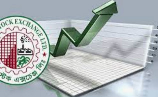 উত্থানের মূল ভূমিকায় ৫ কোম্পানি