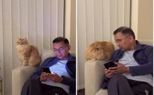 পাসপোর্ট ও অনুমোদন পেয়েছে তারেক রহমানের সেই 'জিবু'