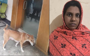 এবার সেই সরকারি কর্মকর্তার স্ত্রী গ্রেপ্তার