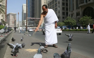 মক্কা-মদিনায় নতুন নিয়ম: খাবার দিলেই জরিমানা