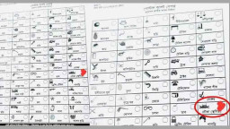 পোস্টাল ব্যালটে নৌকা প্রতীক যা বললেন ইসি