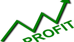 পতনেও সমান তালে মুনাফা দিচ্ছে দুই কোম্পানি