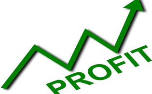 পতনেও সমান তালে মুনাফা দিচ্ছে দুই কোম্পানি