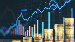 পতনের বাজারে ‘জেড’-এর ৭ শেয়ারে ব্যতিক্রমী রিটার্ন