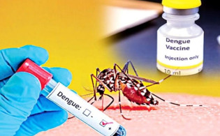 দেশে ডেঙ্গু ভ্যাকসিন অনুমোদনে দেরির কারণ প্রকাশ