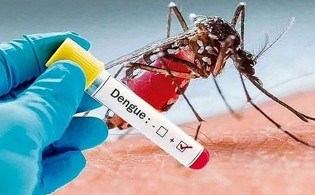 দেশে আরও ৪৮৬ জন ডেঙ্গু রোগে আক্রান্ত