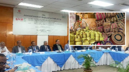 ঋণ সংকটে ক্ষুদ্র ও মাঝারি শিল্প: চ্যালেঞ্জের মুখে নারী উদ্যোক্তারা