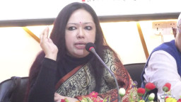 ‘মাইনাস ফোর’ নিয়ে গুরুত্বপূর্ণ তথ্য দিলেন রুমিন ফারহানা