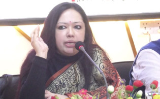 ‘মাইনাস ফোর’ নিয়ে গুরুত্বপূর্ণ তথ্য দিলেন রুমিন ফারহানা