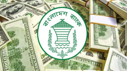 ৯১ বারের মতো পেছাল রিজার্ভ চুরির প্রতিবেদন