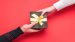 স্ত্রীকে ৫ লাখ শেয়ার উপহার দিতে চান উদ্যোক্তা পরিচালক