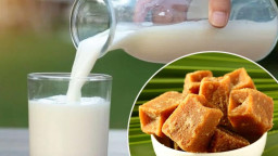 রাতে নিয়মিত দুধ ও গুড় খেলে শরীরে যে পরিবর্তন ঘটে