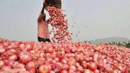 আমদানি শুরু হলেও বাজারে পেঁয়াজের দাম কমছে না
