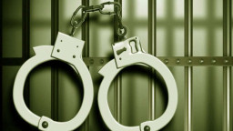 হাদির ওপর হা-মলার ঘটনায় আরও দুইজন গ্রেফতার