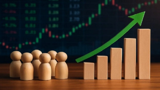 ৫ কোম্পানিতে বেড়েছে উদ্যোক্তা পরিচালকদের বিনিয়োগ