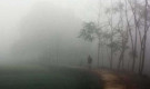 চুয়াডাঙ্গায় দেশের সর্বনিম্ন তাপমাত্রা, দুর্ভোগ বাড়ছে