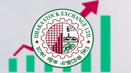 উত্থানের দিনে নাগালের বাইরে ৯ কোম্পানি