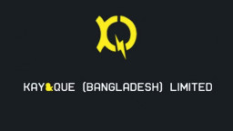কে অ্যান্ড কিউর স্টক ডিভিডেন্ডে বিএসইসি'র আপত্তি