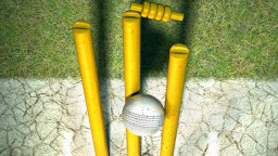 ছয় বলে পাঁচ উইকেট: আন্তর্জাতিক টি-টোয়েন্টিতে নতুন ইতিহাস