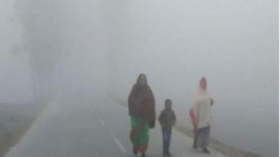 দেশজুড়ে হাড়কাঁপানো শীত, কারণ জানালেন আবহাওয়াবিদরা