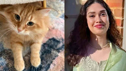 দেশে ফেরার পর আলোচনায় জেবু, মুখ খুললেন জাইমা রহমান