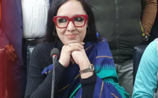 বিএনপিকে নিয়ে বিস্ফোরক মন্তব্য রুমিন ফারহানার