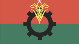 ভোটের মাঠে নিজেদের লড়াই: বিদ্রোহের চাপে টালমাটাল বিএনপি