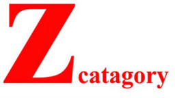 ‘জেড’ ক্যাটাগরিতে নামল ৯ কোম্পানি