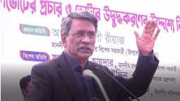 গণভোটের মার্কা টিকচিহ্ন: আলী রীয়াজ