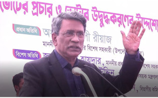 গণভোটের মার্কা টিকচিহ্ন: আলী রীয়াজ