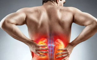 কিডনিতে পাথর হওয়ার আগে এখনই ডায়েটে রাখুন এই ফলগুলো