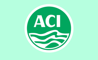 সেমিকন্ডাক্টর ও প্রপার্টি খাতে পা রাখছে এসিআই