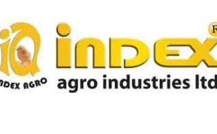 ইন্ডেক্স এগ্রোর দ্বিতীয় প্রান্তিক প্রকাশ
