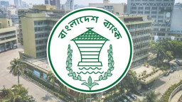 বন্ধ হচ্ছে ৬ আর্থিক প্রতিষ্ঠান, সময় পেল ৩টি