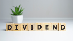 ডিভিডেন্ড পেয়েছে তিন কোম্পানির বিনিয়োগকারীরা