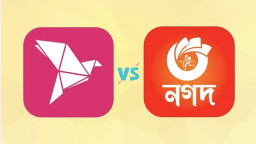 বিকাশ-নগদে হাজার টাকার বেশি লেনদেন করা যাবে না