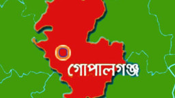 গোপালগঞ্জে চমকপ্রদ ফল, এক রাতেই বদলে গেল সমীকরণ