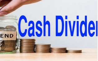 ক্যাশ ডিভিডেন্ড পেয়েছে দুই কোম্পানির বিনিয়োগকারীরা