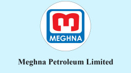 মেঘনা পেট্রোলিয়ামকে নিয়ে নিরীক্ষকের বিস্ফোরক তথ্য