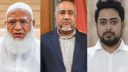 বিরোধীদলীয় নেতা শফিকুর, উপনেতা তাহের, চিফ হুইপ নাহিদ