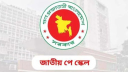 ১৫ মার্চের মধ্যে সিদ্ধান্ত না হলে বড় কর্মসূচি—সরকারকে কড়া বার্তা কর্মচারীদের