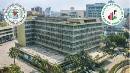 ভালো কোম্পানির শেয়ার না এলে আবারও ধাক্কা খাবে বাজার