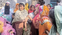 উঠানে দাদির, সরিষা ক্ষেতে নাতনির বিবস্ত্র মরদেহ উদ্ধার