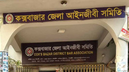 ৭ পদে জয়ী আ. লীগ, জামায়াত ৬টি ও বিএনপি বিজয়ী ৪ পদে