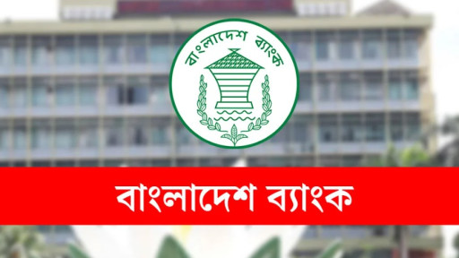 অর্থনৈতিক চাপে শিল্পখাত, সমাধানে কেন্দ্রীয় ব্যাংকের নতুন পদক্ষেপ