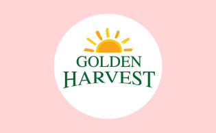 জালিয়াতির দায়ে ফেঁসে যাচ্ছেগোল্ডেন হারভেস্ট ও অডিট ফার্ম