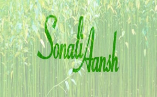 কাগজে সম্পদ, বাস্তবে নেই—সোনালি আঁশে আর্থিক অনিয়মের চিত্র